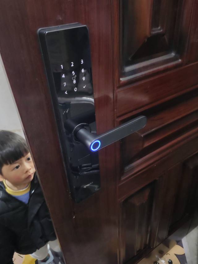 桃源小吕指纹锁