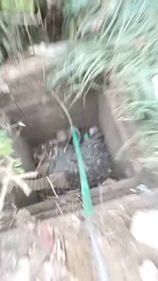专业的人做专业的事