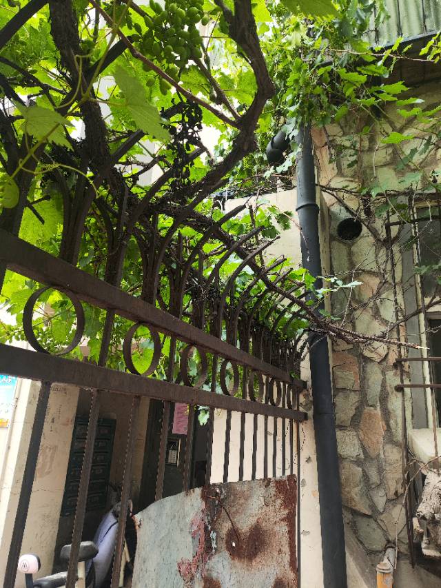 天津市管道疏通维修工程部